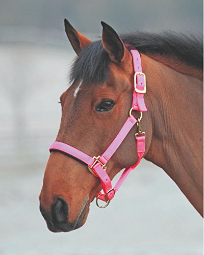 Shires 387 Topázio Halter de nylon, rosa, Full