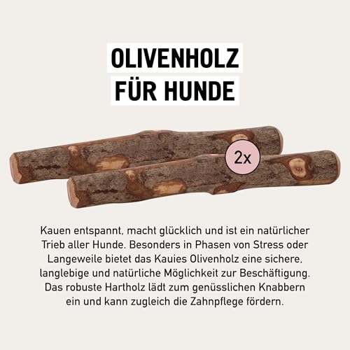 Kauies Olivenholz Kaustab für Hund mit Olivenöl - 100% natürlich, vegan & kalorienfrei - langelebiges Hunde-Spielzeug aus schadstoffgeprüftem Holz, Made in Germany, Größe S bis 10 kg (2er Pack)