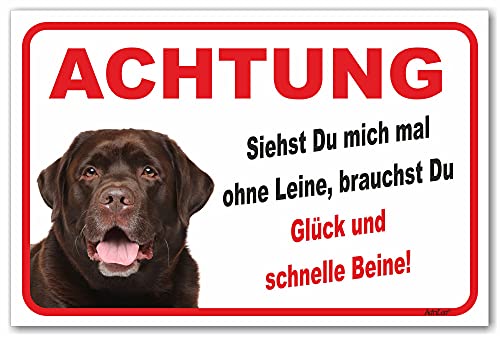 AdriLeo Schild - Vorsicht brauner Labrador Retriever - Ohne Leine - (15x20cm) / Achtung Hund Wachhund robust langlebig UV-beständig wetterfestes Warnschild