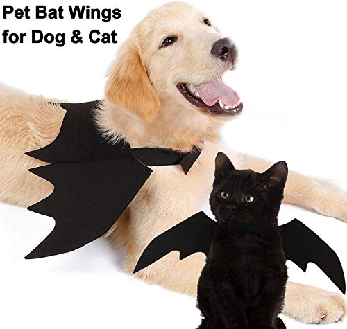 Disfraz Halloween Alas de Murciélago para Perro Grande miniatura 4
