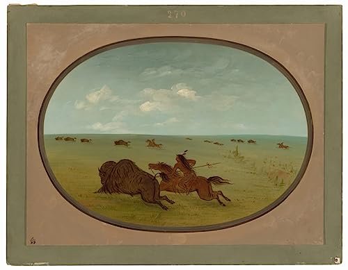 Poster Sioux Indiens George Catlin histoire amérindienne