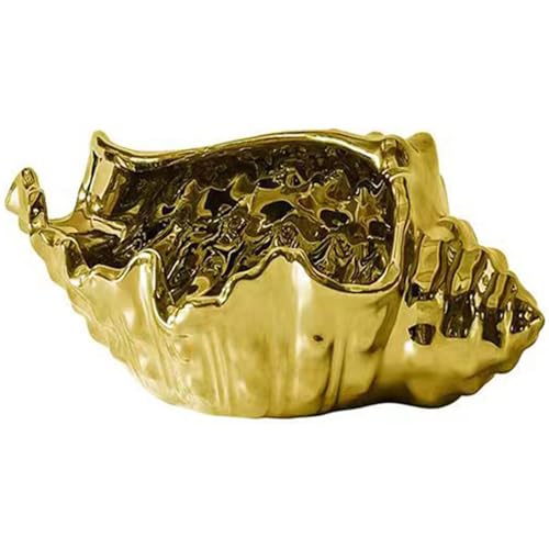 Z~bNWG[fBXvCMɂLp^[[ANZT[lbNXuXbgLWG[gC