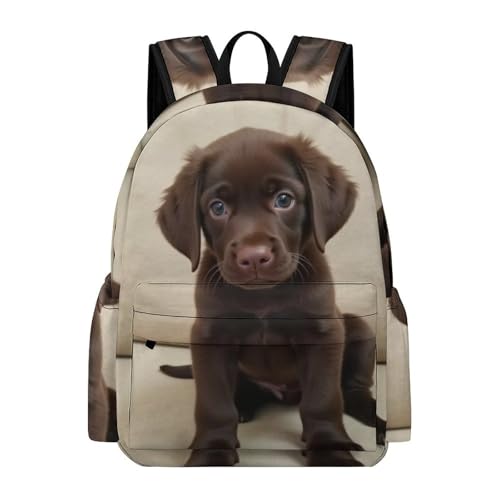 SWEET TANG Funny Backpack for Men Women College Laptop, Lightweight Travel Hiking Backpack Compatible with Puppy Chocolate Lab Backpack for Textbook Bottle