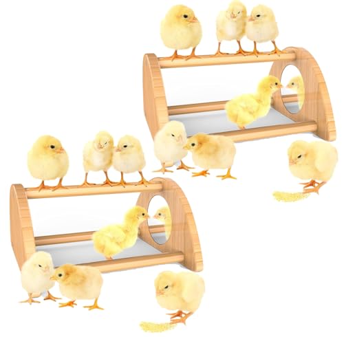 Image of Mini Chick Perch with Mirror, Strong Bamboo Roosting Bar for coop and brooder, Training Perch for Baby Chicks, El Pollitos, La Pollita, Easy to Assemble and Clean, Fun Toys for Chick, 2 Pack