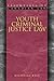 Youth Criminal Justice Law (Essentials of Canadian Law)