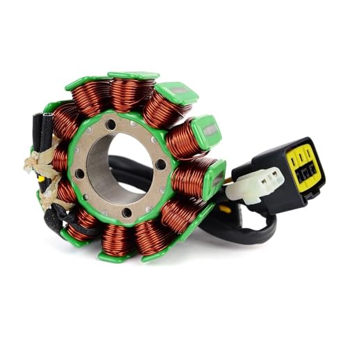 Bobine de stator pour TM MX250 haute résistance pour circuits de 2011 à 2013