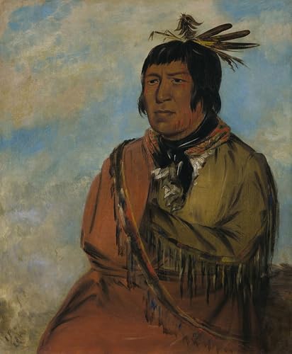 Tableaux sur toile animal voyageant la nuit George Catlin art moderne mur art 60x90