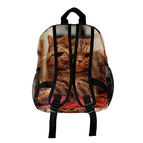 Sac à dos chat pour garçons et filles de 30,5 cm multicolore