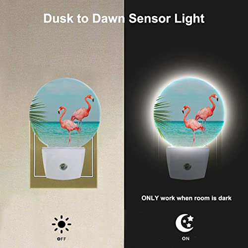 Image of EKOBLA Tropical Flamingo Palm Leaf Night Light, Summer Beach Night Lights Plug Into Wall with Dusk to Dawn Sensor for Men Women Boys Girls Gifts
