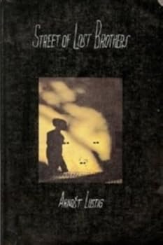 Paperback Street of Lost Brothers Book