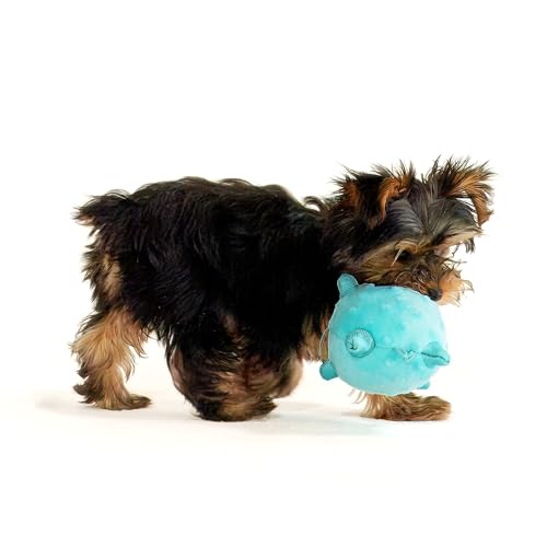 Pelota mordible mediana para perros con aroma a mantequilla de maní miniatura 4