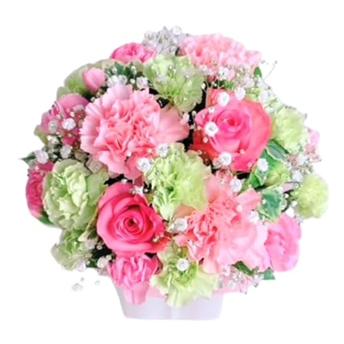 y ԋE{Xz t[Mtg IWi  t[AWg  Mtg a  w ̓  AW җ LO ̓ ̓ NX}X \ v[g j   hV̓ 蕨 (EPG sNO