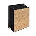 Original Filter S + PetGuard für C545