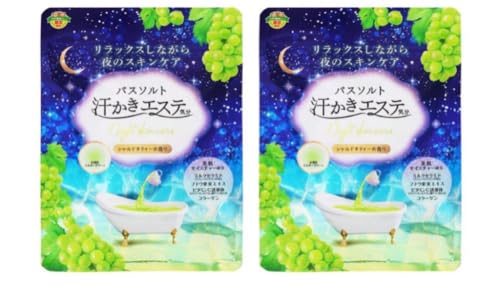 �������G�X�e�C�� �i�C�g�X�L���P�A �V�����h�l�e�B�[�̍��� 500g ×2��