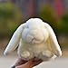 LIUHONGFEI Simulated White Rabbit Plush Toy Realistic Rabbit Doll Children's Day Gift Gift