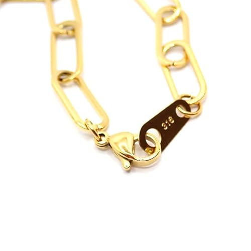 [p[c[h] lbNX `F[ fB[X 316L T[WJXeX [ AM[Ή ] yS[hyyɑzz40cm 45cm 50cm 60cm Y fB[X ubN K18bL ×pXeX (yɑz36.P