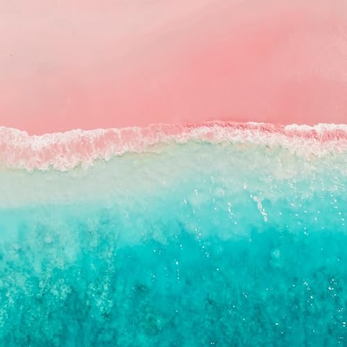 Couverture de Soul Adoption