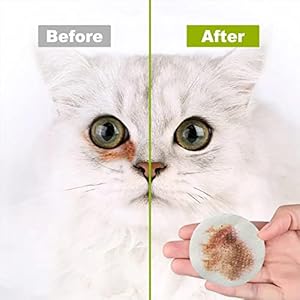 Dreasy Pet Eye Wipes 480 Ct for Dog Cat Horse  Rabbit Groomingtear Stain Removerpuppy Kitty Eye Washremove Dirt Crust Dried Mucus Discharge Secretions Unscented Soft  Gentleplant Based Formula  Cucciolini Doodles Dr Easy pet eye wipes 480 ct for dog cat horse  rabbit groomingtear stain removerpuppy kitty eye washremove dirt crust dried mucus discharge secretions unscented soft  gentleplant based formula   cucciolini doodles