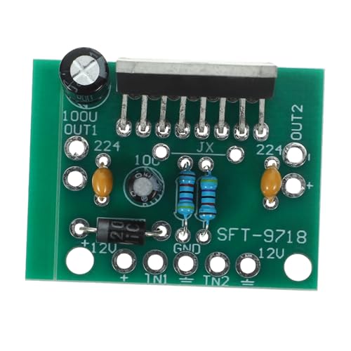 Amplificatore Audio Diy Scheda Stereo Rumore e Efficienza per Progetti Elettronici