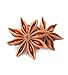 Bague star anise Organic spice whole 3.5 Oz 100g 100 grams organic chakri pool
