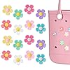 Ella & Emma 16Pcs Flower Charm Accessory for Bogg Bags and Simply Southern Totes, Decorative Accessories to Customize Your Beach Tote Bag (16pc Rainbow Flowers) (16pcs rainbow flowers)