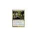 Magic: the Gathering - Sisters of Stone Death - Ravnica