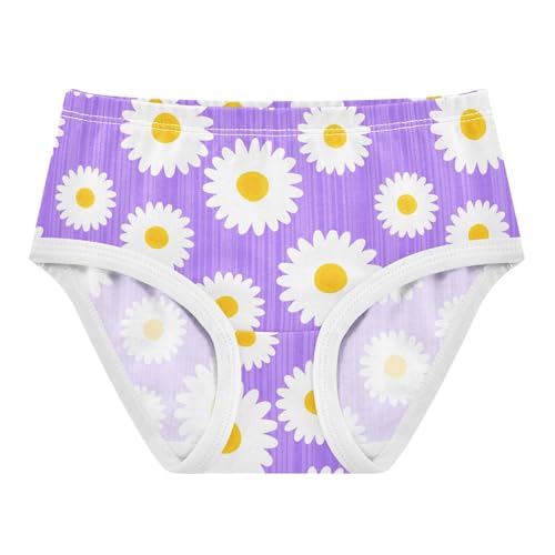 Flowers Floral Purple Toddler Girls's Underwear 2T 2302875