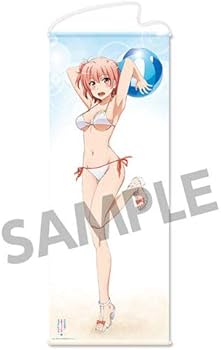 Amazon.co.jp: やはり俺の青春ラブコメはまちがっている。続 描き