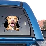 Pitbull Stickers Car Window Pitbull Funny Decal Vinyl Sticker Dog Mom Funny Jokes Warning Packs Stickers for Kid Vynil Vehicle Atickers