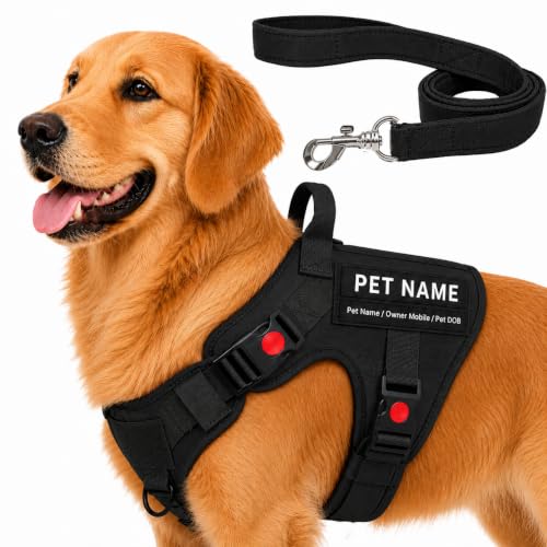 Image of Customized Tactical Dog Harness with Leash | Dog Training Belt with Name | Adjustable Size for Large Dogs | Recommended for 25-40 Kg Pet (Black, L)