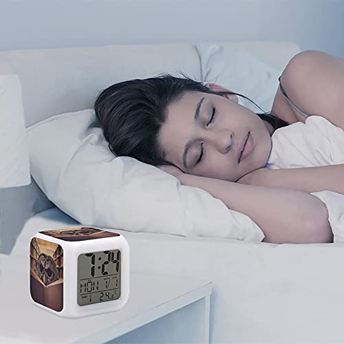 3 Inch Led Digital Alarm Clock With Thermometer & Date,Owl Bird Reading Book Library Vintage Shag Colorful Change Wake Up Bedside Clocks Glowing Clock For Kids Boys Girls Birthday Christmas #TOP2