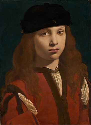Portrait d'un jeune Boltraffio SERENDIPITP pour sublimer votre chambre