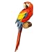 Red Macaw Beautiful - 5" Vinyl Sticker - For Car Laptop I-Pad - Waterproof Decal