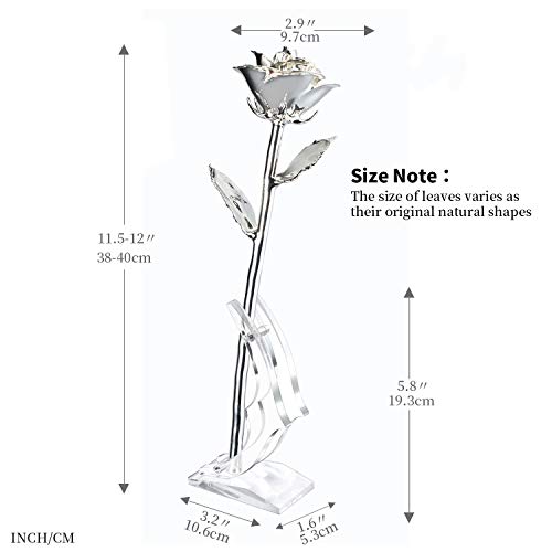 Image of Silver Rose, Silver Dipped Rose Made from Real Rose Best Gifts and 25th for Wife, Silver with Stand