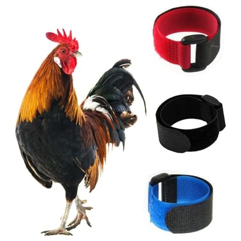 Tkocisa 3 Pack No Crow Rooster Collar, Chicken Collar Anti-Hook Noise Free Neckband No Crow Noise Neck Belt for Roosters - Prevent Chickens from Screaming, Disturbing Neighbors Cover