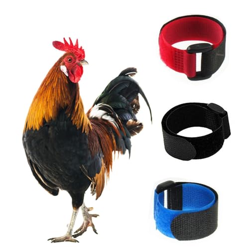 Tkocisa 3 Pack No Crow Rooster Collar Chicken Collar Anti-Hook Noise Free Neckband No Crow Noise Neck Belt for Roosters - Prevent Chickens from Screaming Disturbing Neighbors