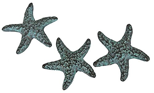 SPI Home- San Pacific Intl BP15674 Starfish Minimals Pack 6