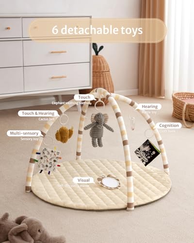 image for Blissful Diary Baby Play Gym Mat, Tummy Time Activity Mat with 6 Detac
