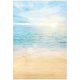 Funnytree 5X7FT Summer Sea Beach Sunshine Photography Backdrops Blue Sky Sandy Background for...