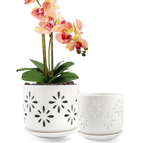 LITUDISO Orchid Pots with Holes, 5+6 Inch Orchid Pots with Drainage Holes and Tray, Effective Drainage and Ventilation to Assist New Plants or Repotting, Indoor/Outdoor Flower Pots -White