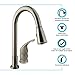 Dura Faucet DF-NMK503-SN RV Pull-Down Kitchen Sink Faucet with Side Lever (Brushed Satin Nickel)