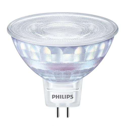 Ampoule E27 LED Philips pour salon chaleureux à intensité variable