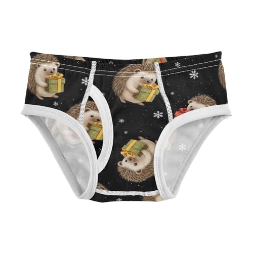 CHIFIGNO Boy Briefs Cotton Underwear Printed Breathable Toddler Boy Underwear Briefs, Cute Hedgehog Black