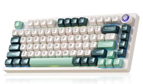 LEOBOG HI75C Pro Gaming Keyboard, RGB Backlit Bluetooth/USB-C/Wireless Mechanical Keyboard,