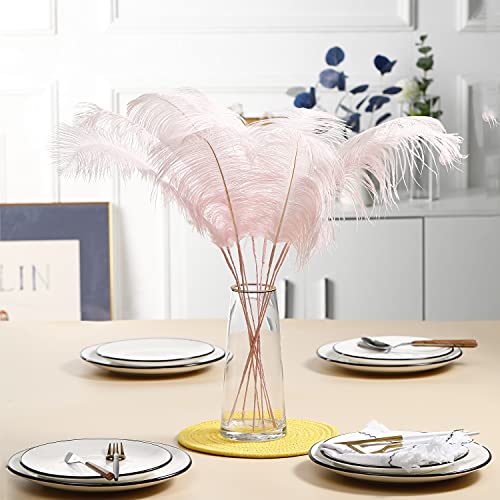 Ballinger Light Pink Ostrich Feathers - Making Kit 10Pcs 28 Inch Large Ostrich Feathers For Craft, Wedding Party Centerpieces, Vase Floral Arrangement And Home Decor #TOP5