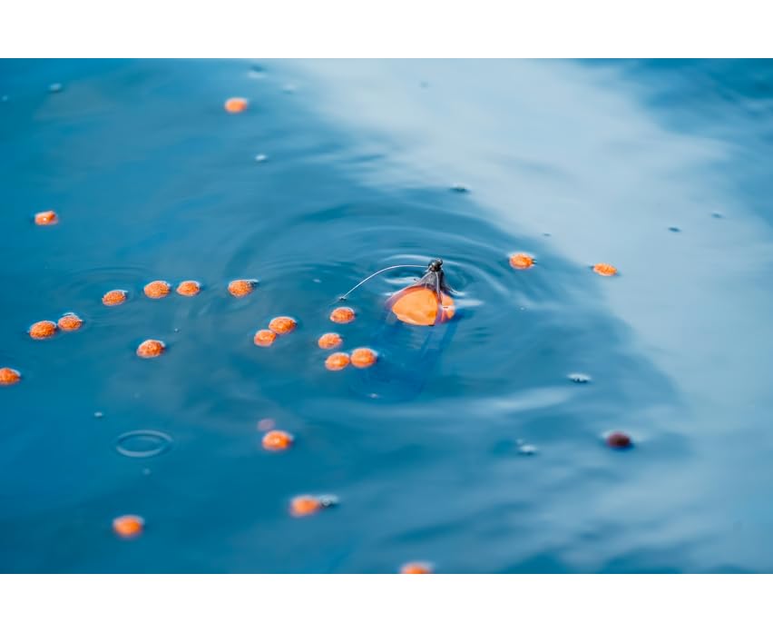 Korum Surface Feeder Float | Karpfenoberflächen Angeln | Köder mit Brot und schwimmenden Ködern | Langwurf | Automatische Köderfreigabe | Code K0320112