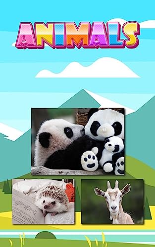 Jungle Journeys: Captivating Wildlife Photography of the Amazon Rainforest to Inspire Your Next Adventure