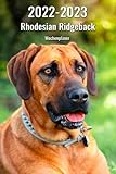 2022-2023 Rhodesian Ridgeback Wochenplaner: 221 Seiten, DIN A5 | 2 Jahre Terminkalender | Terminplaner | Tagebuch | Wochenkalender | Organizer für Hundeliebhaber