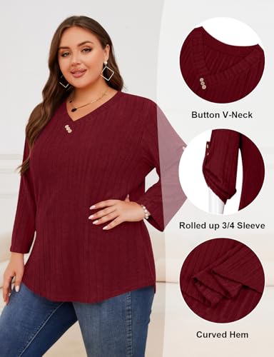 LURANEE Women Plus Size Sweaters 3/4 Rolled Sleeve Shirts V Neck Casual Lightweight Tunic Blouses XL-5XL2