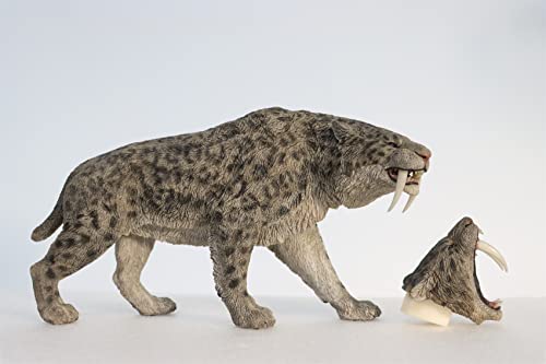 WLNTDOLA REBOR 1:11 Smilodon Populator Stray Cat Saber-Toothed Tiger Ice Age Figure Realistic Animal Model Toys Collector Home Christmas Decoration Birthday Gift for Adult (Ice Age Ver)